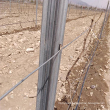 high strangth metal vineyard post/grape stake/vineyard trellis post